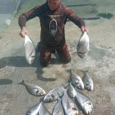 By The Sea--bougainvillea بيت للعطل
